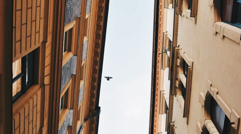 two brown concrete building