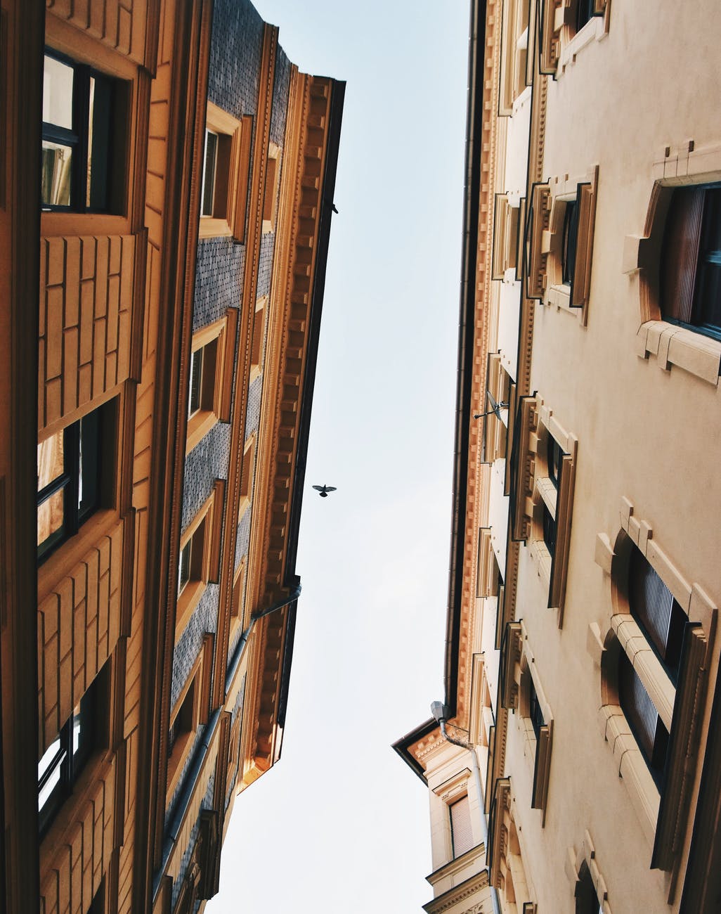 two brown concrete building